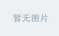揭秘雨燕电竞的战术与策略